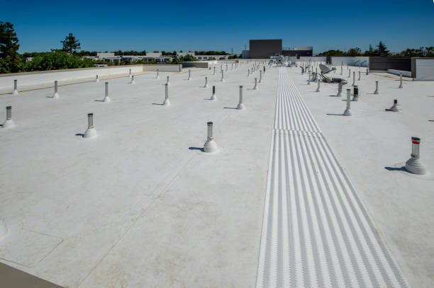 Best Storm Damage Roof Repair  in Coosada, AL